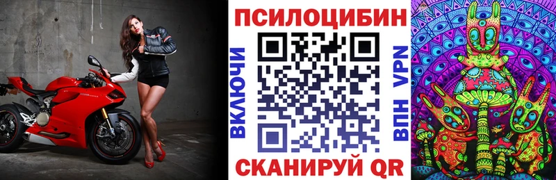 Псилоцибиновые грибы мухоморы Купить где Шенкурск