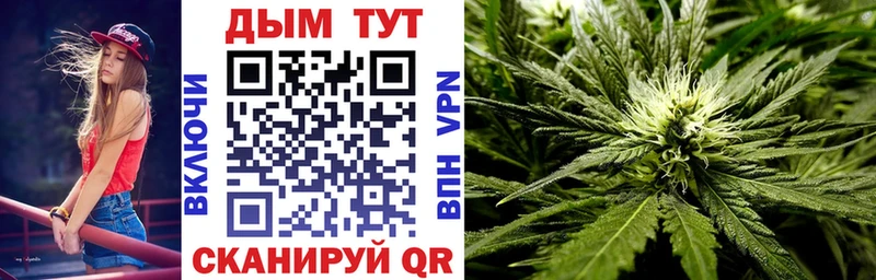 Шишки марихуана семена  Купить  Шенкурск 
